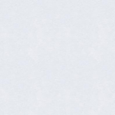 Myriad RCT 50 F - Absorber FG | (T0272) Snow White