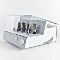 ARNE Mk2 Custom Color